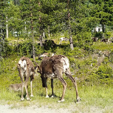 Amo By The ヴィラ *