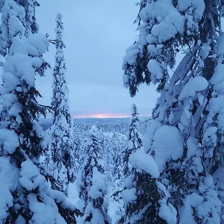 Amo By The Huvilat Ruka