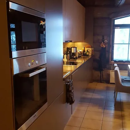 Villa Amo By The Ruka