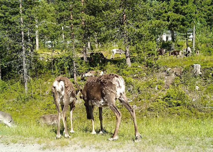 Amo By The ヴィラ *