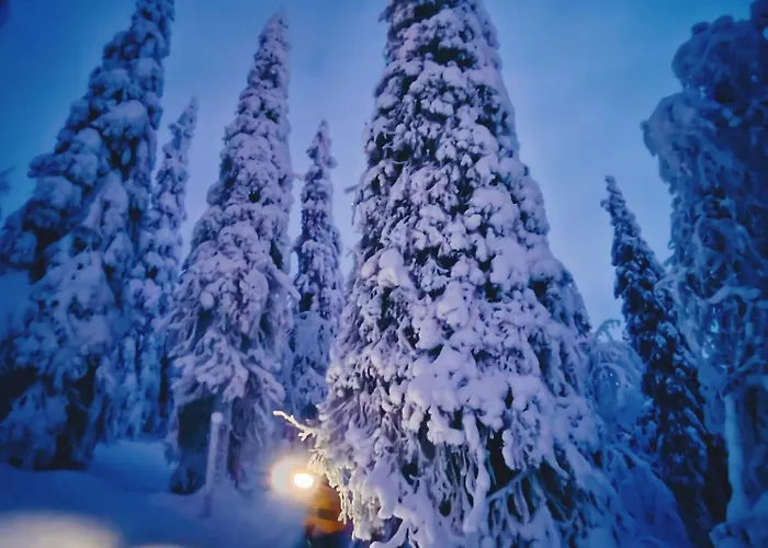 Amo By The ヴィラ *